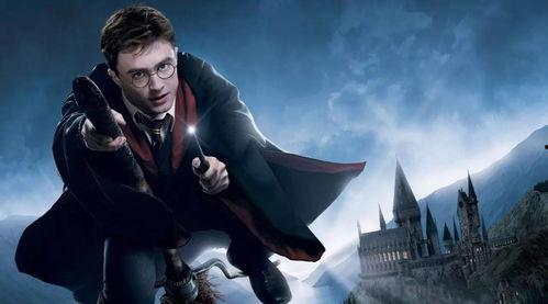 哈利波特最新衣服爆料图,时尚新装引领魔法界潮流